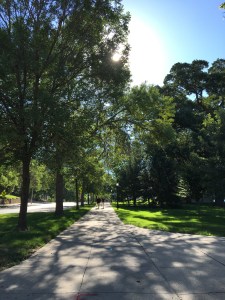 The energetic hilly walk up to campus. 
